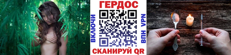 Купить закладки  Волосово  ГЕРОИН хмурый 