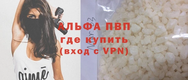 Альфа ПВП Инсар