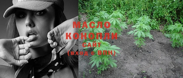 Альфа ПВП Инсар