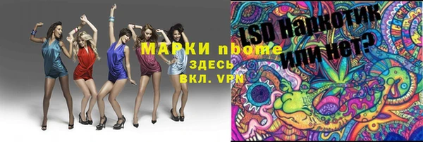 бошки Инта