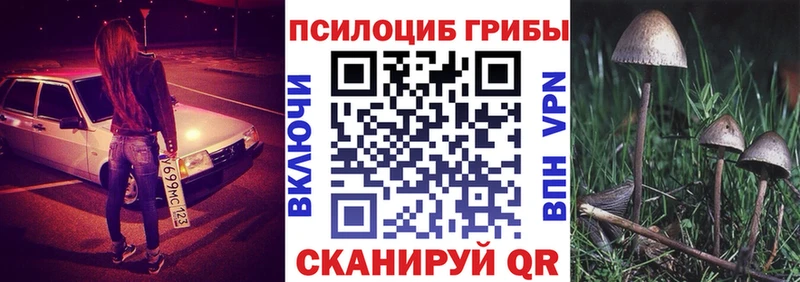 Галлюциногенные грибы ЛСД  Купить где  Волосово 